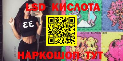 герыч Можга